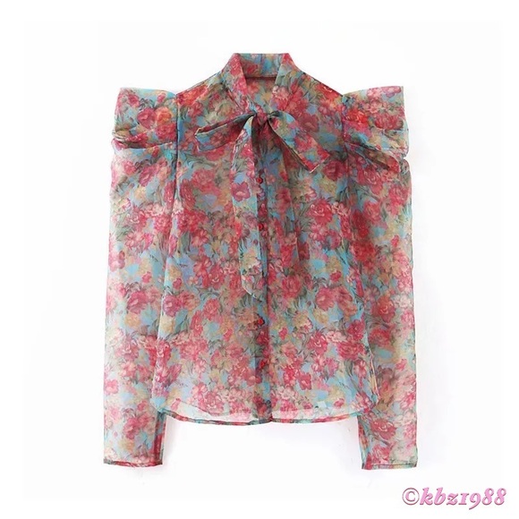 ππ Host Pick! ππ Zara Puff Sleeve Bow Tie Neck Floral Organza Blouse NWT - Picture 5 of 10
